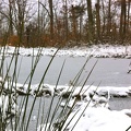 Sheltowee Trace - 07